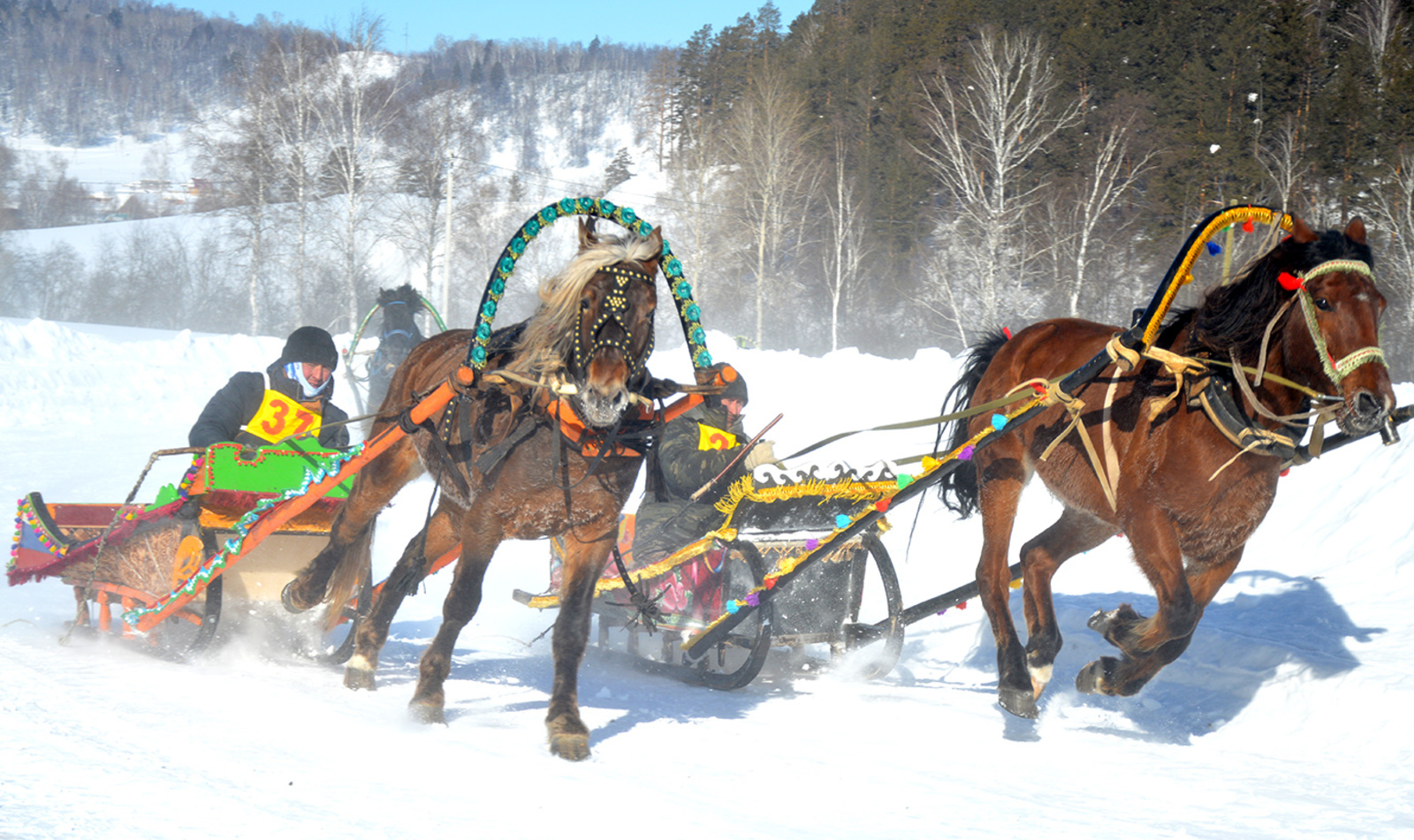 Аратауҙа ат ярышы