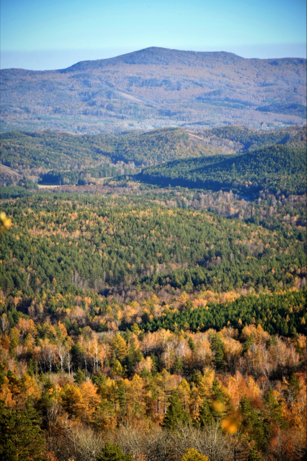 Урмандар – күҙәтеү аҫтында