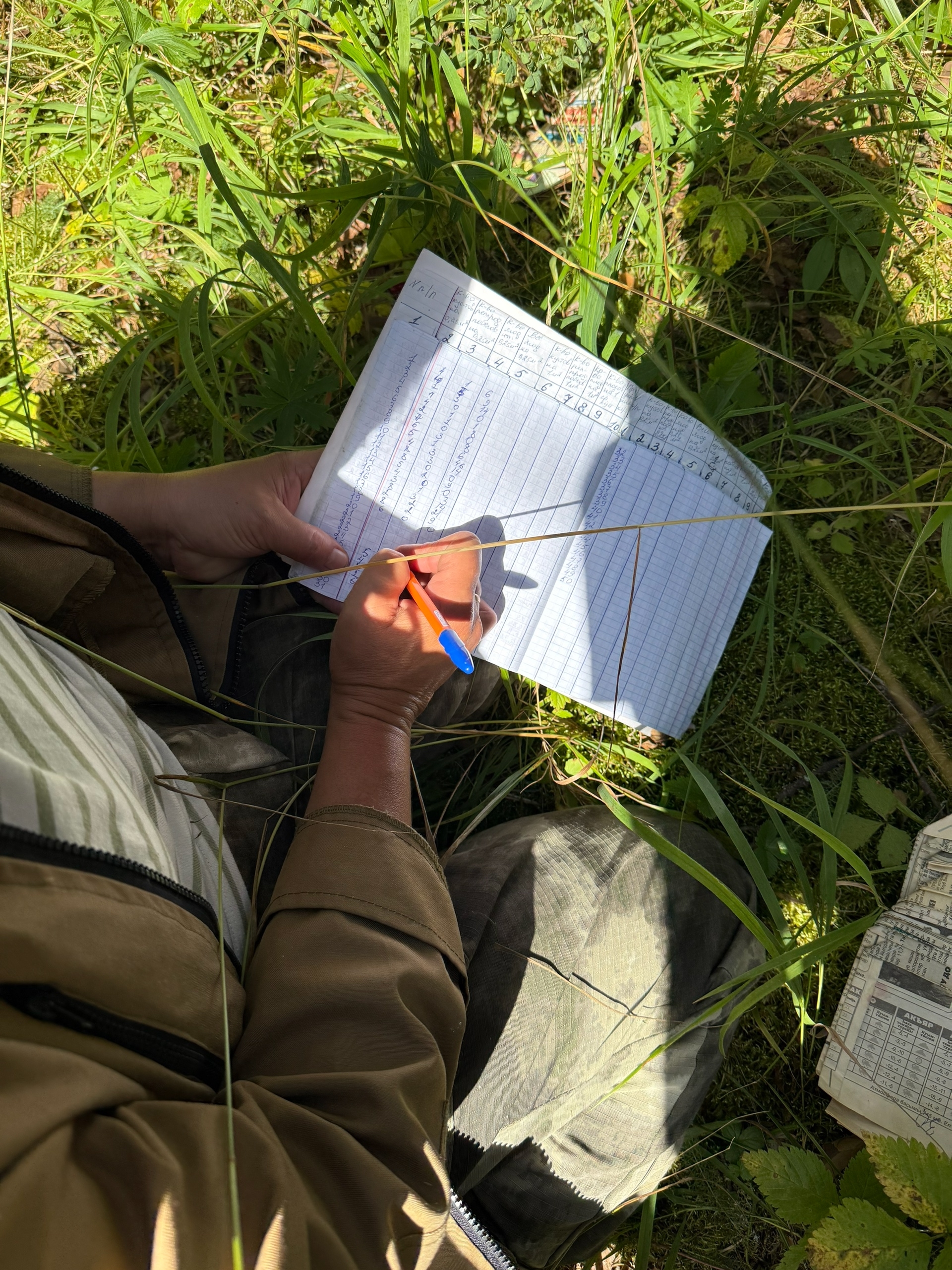 Бөрлөгәндең дә иҫәбен алалар. Ни өсөн?