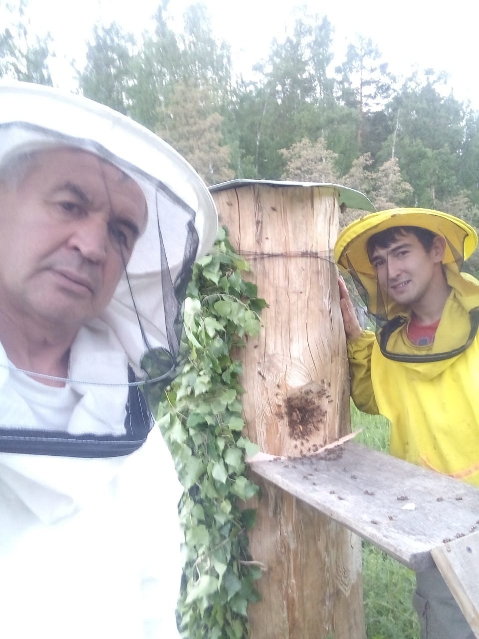 Шүлгән профессоры