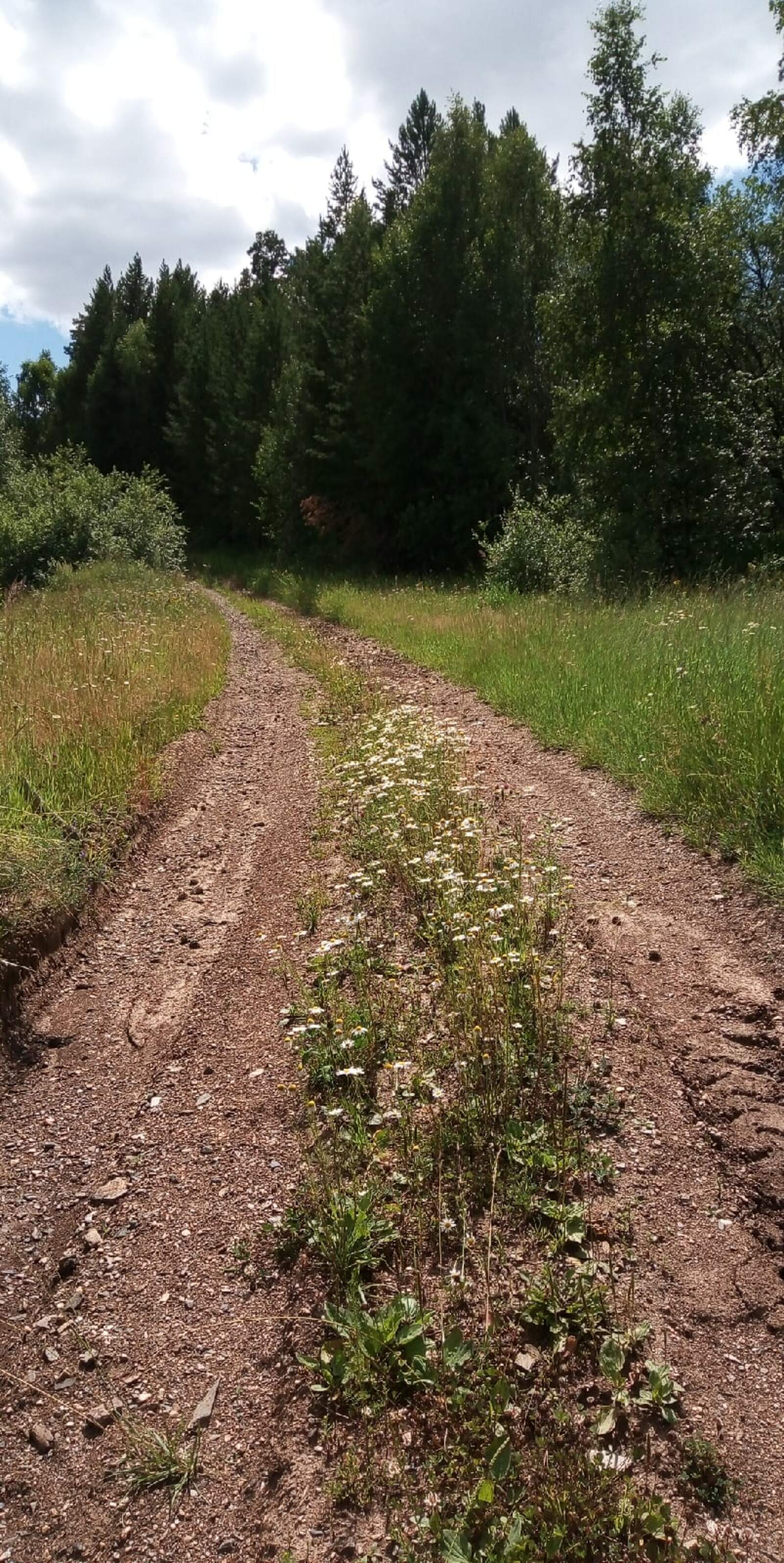 ЕТЕМЛЕК ( Булған хәл).