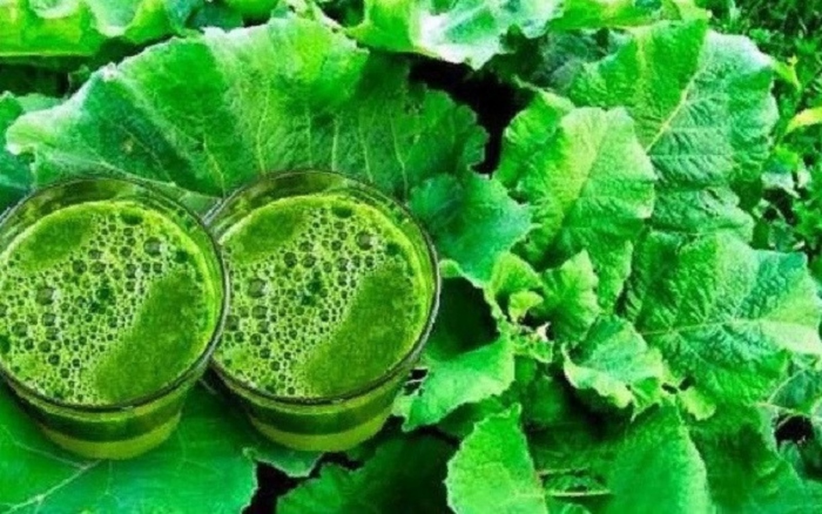 Дегәнәк һуты эсеп алайыҡ