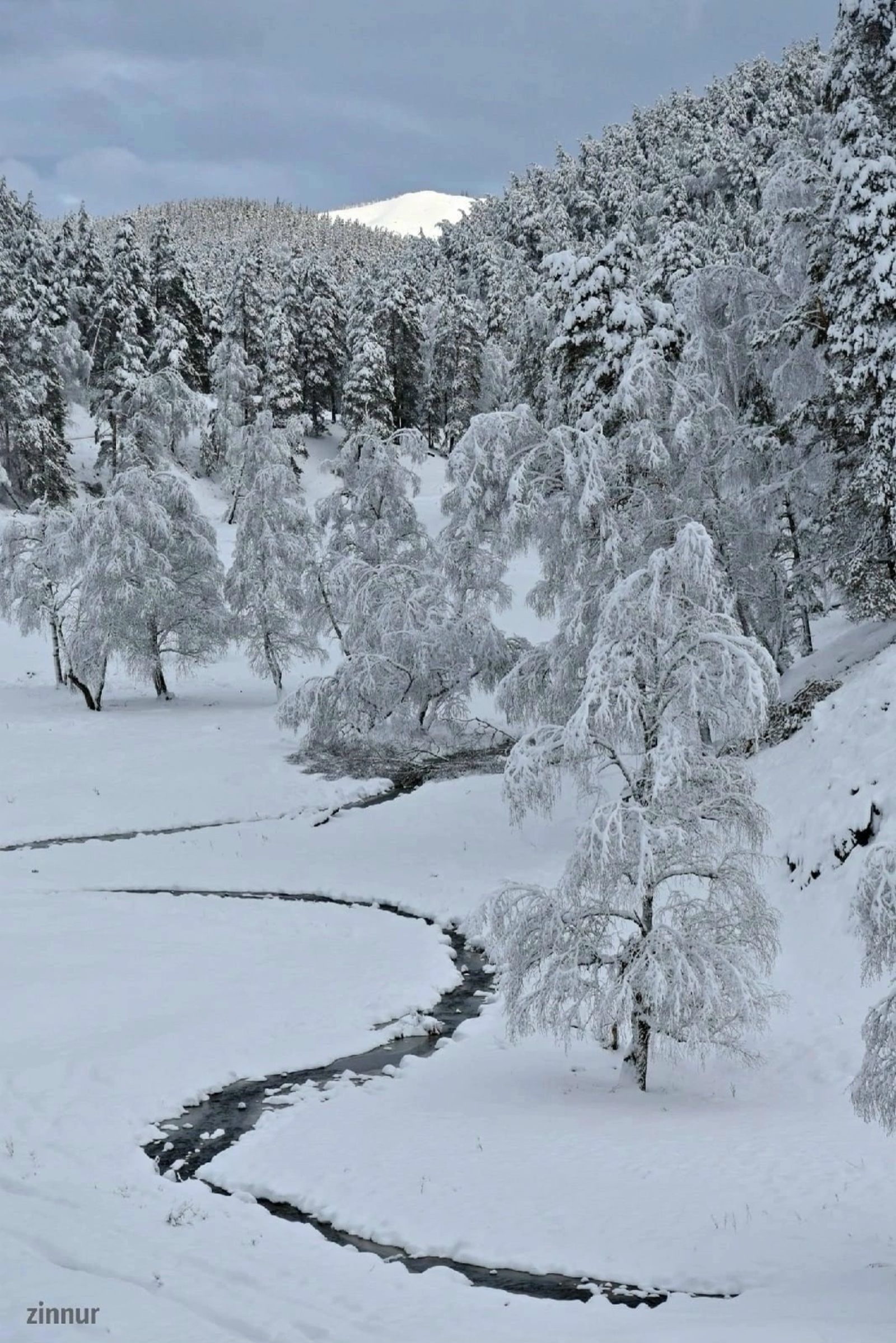 ҠЫШТАР АҠ УЛ... А. Ғарифуллина.