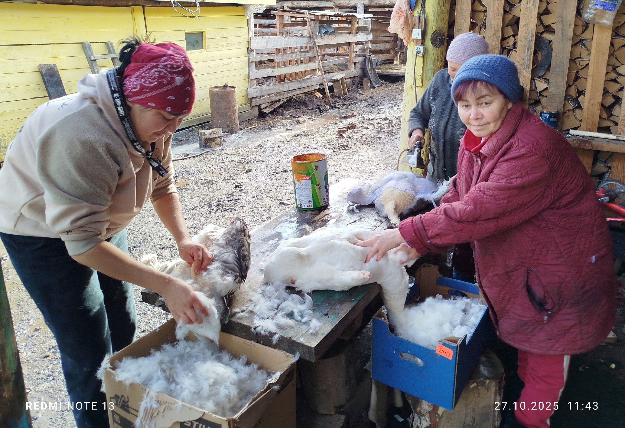 Ҡаҙ өмәләре – тырышлыҡ-муллыҡ күрһәткесе ул!