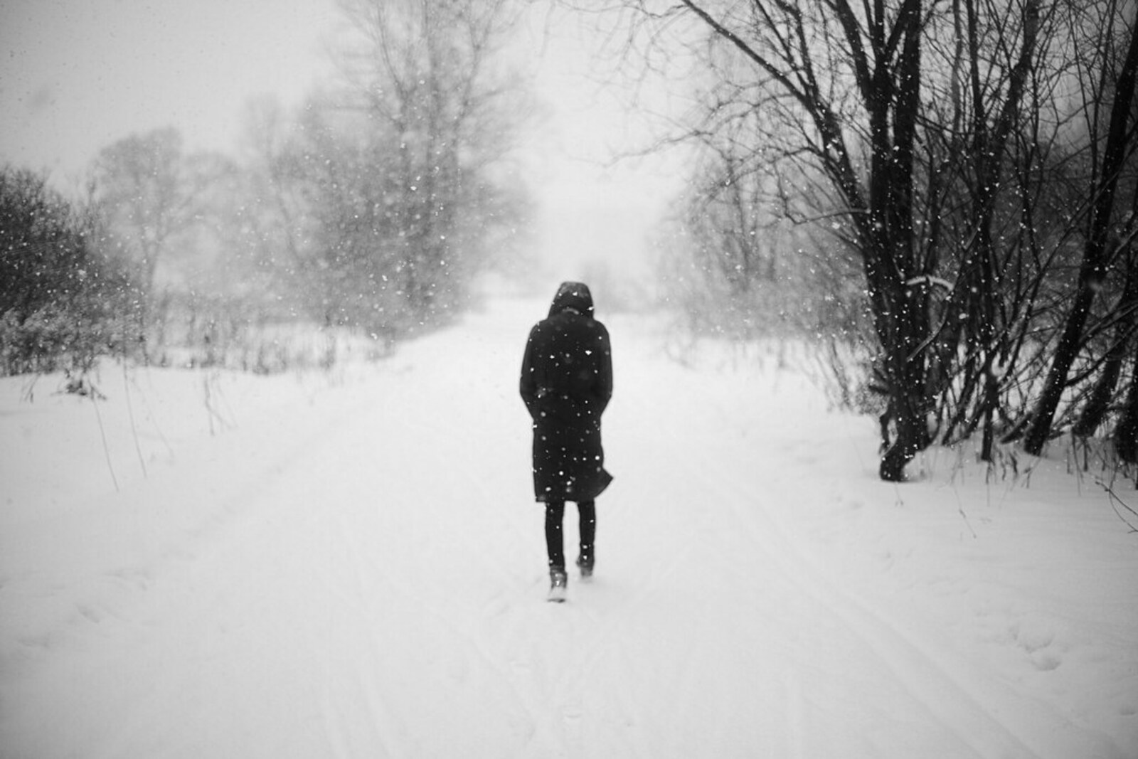 Сәйер ҡатын