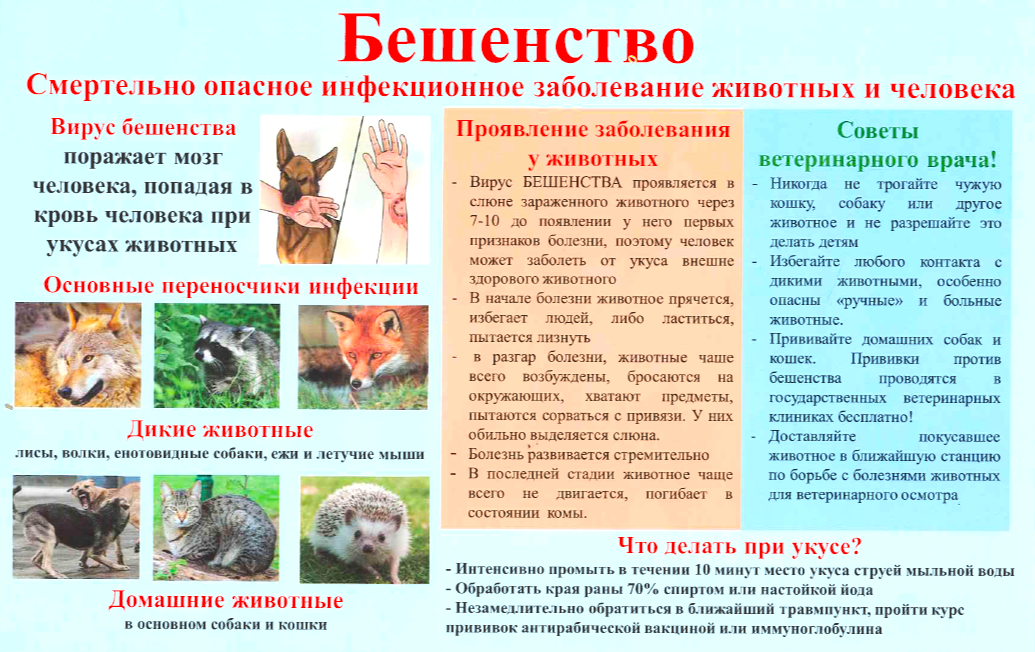 Ҡотороу - хәүефле йоғошло ауырыу