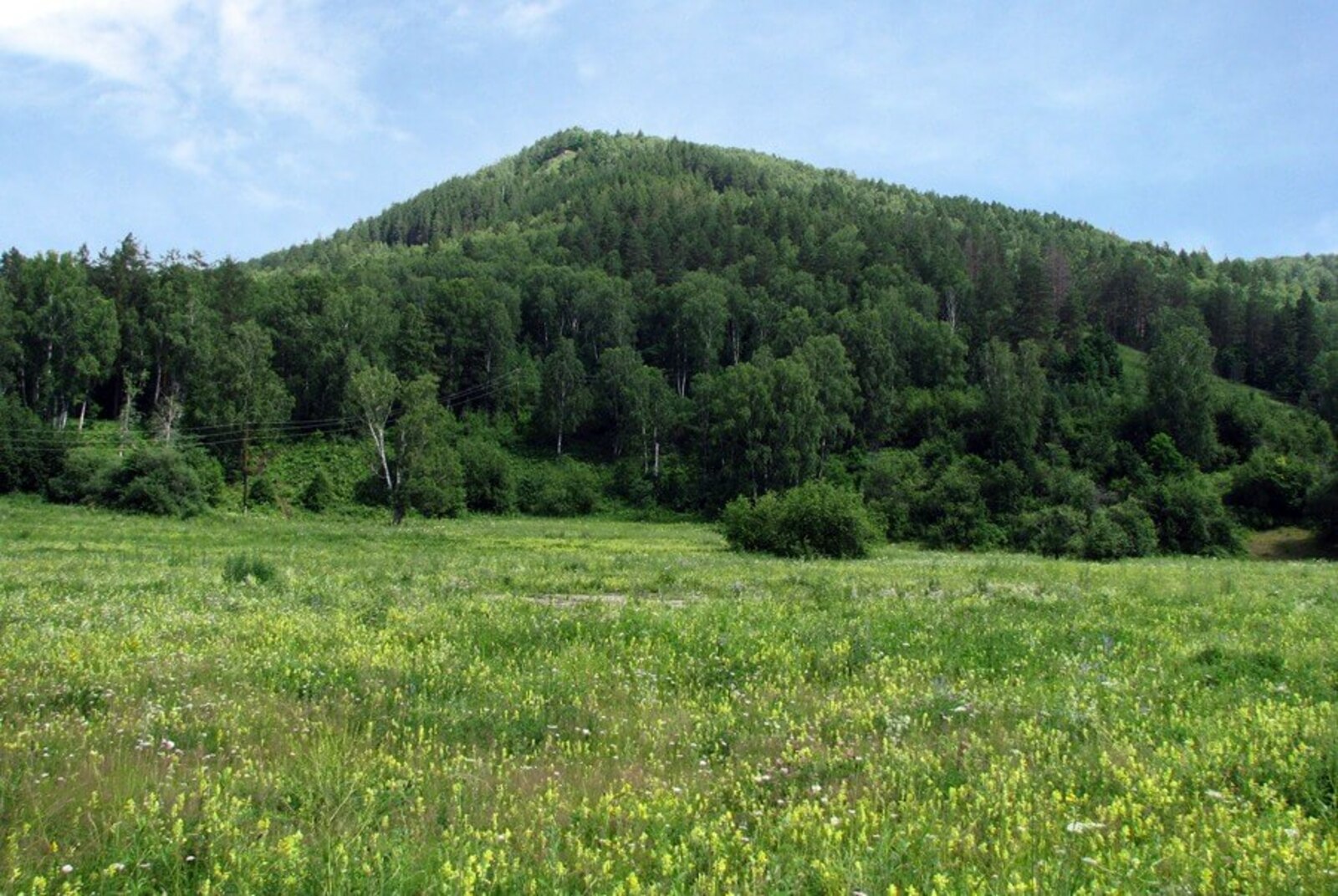 Уйылдан мулла сихыр-әмәлдән дә дауаланы