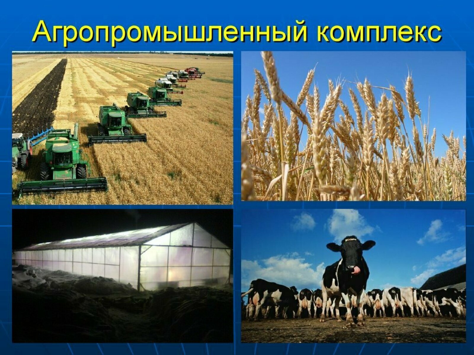 В Башкортостане в 2022 году большое внимание уделят цифровизации агропромышленного комплекса