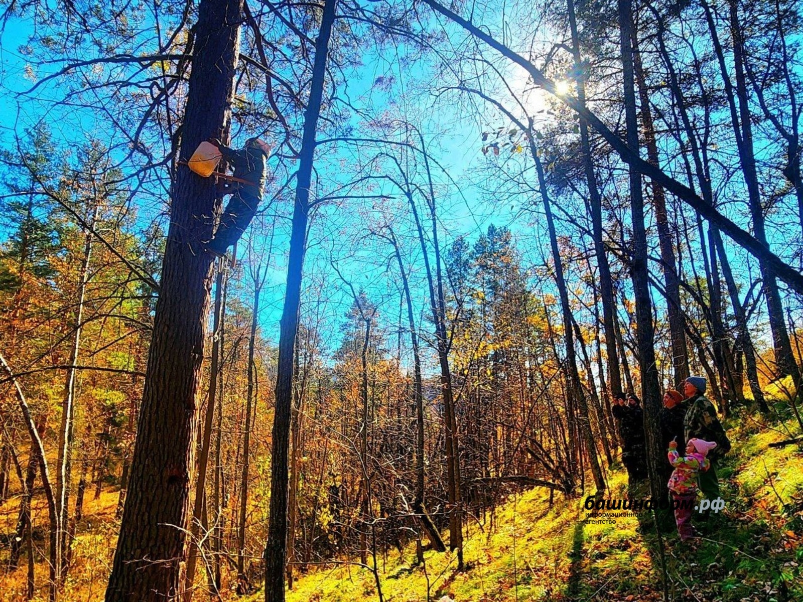 Солоҡтарҙа көҙгө ревизиялар