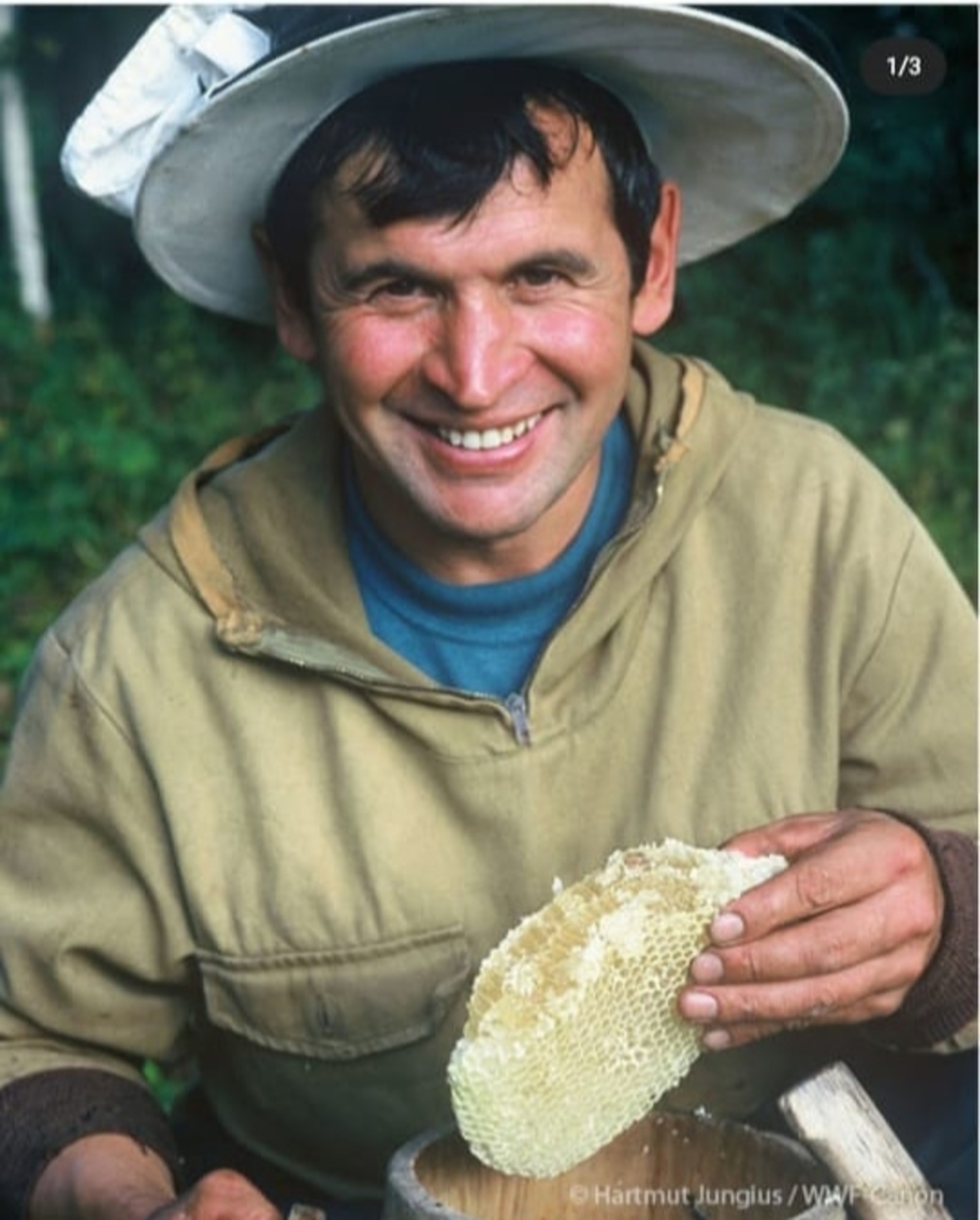 Шүлгән профессоры