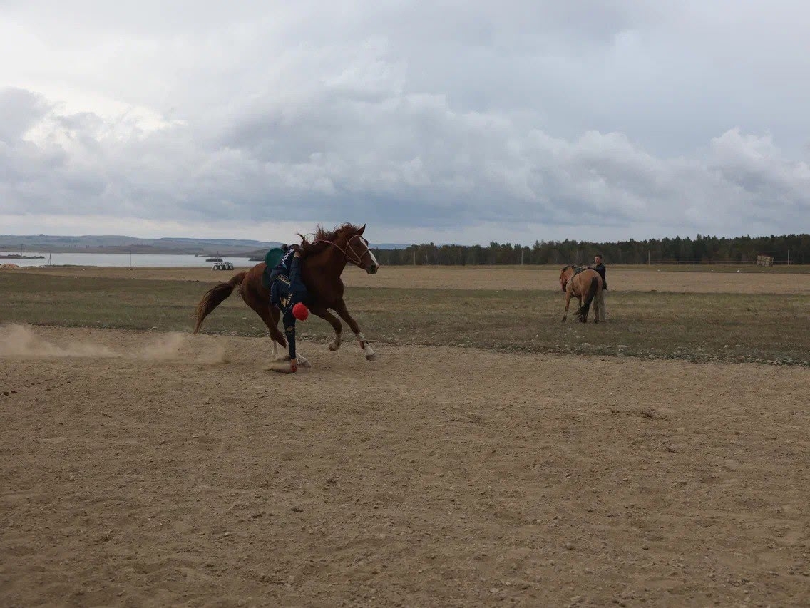 "Хәрәкәт" фестивале үтте