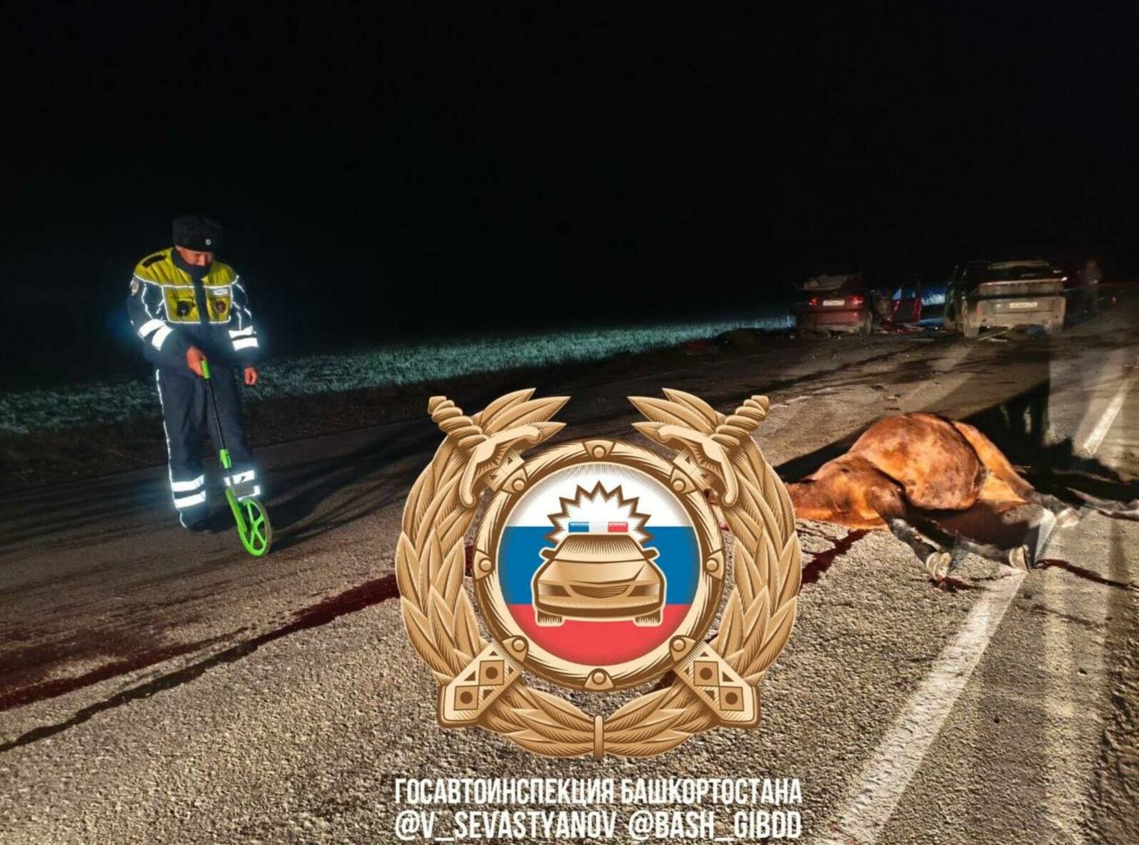 Юлда малдарҙан һаҡ булығыҙ!