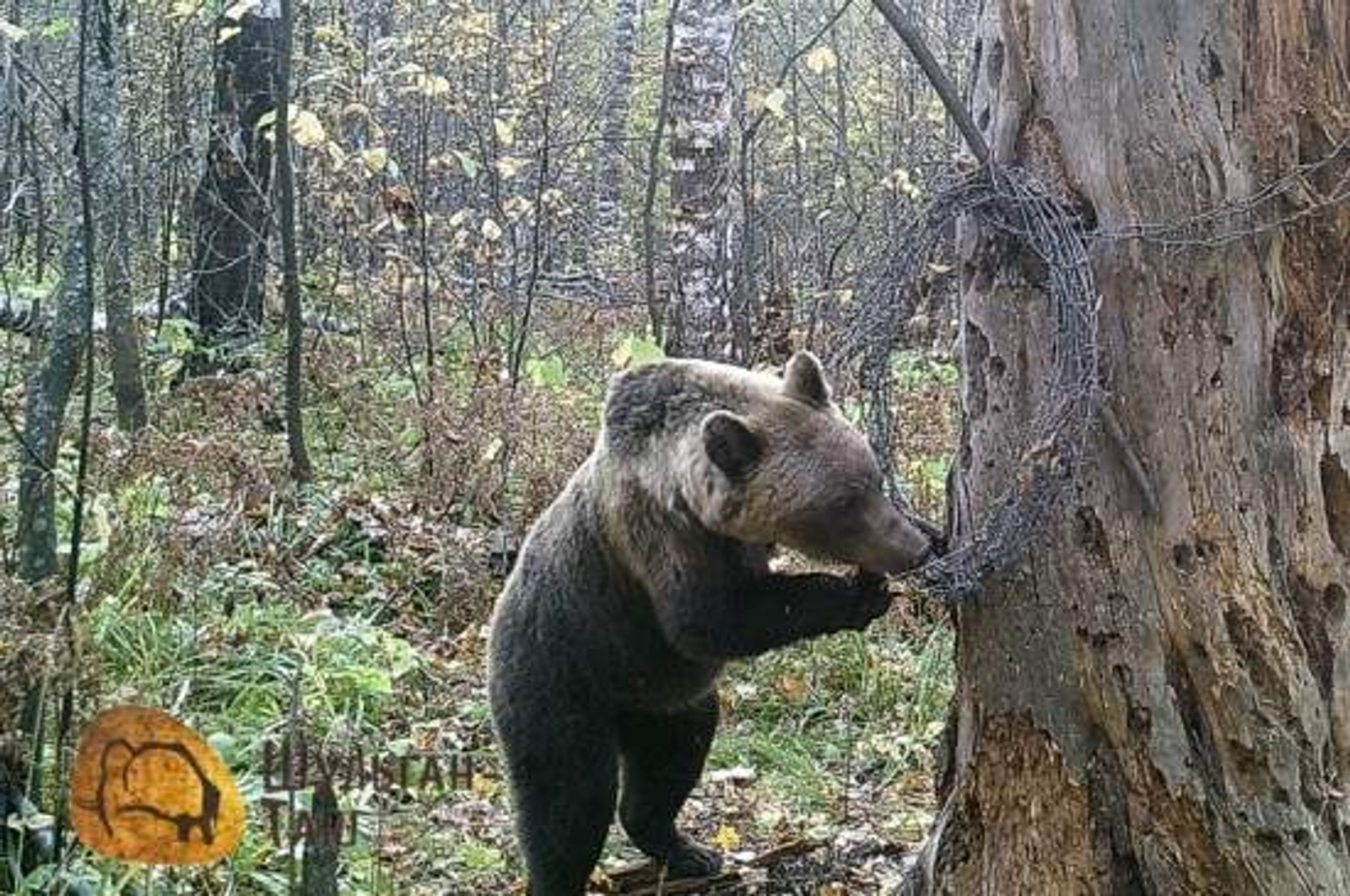 13 йәшлек малайҙың һәләкәте