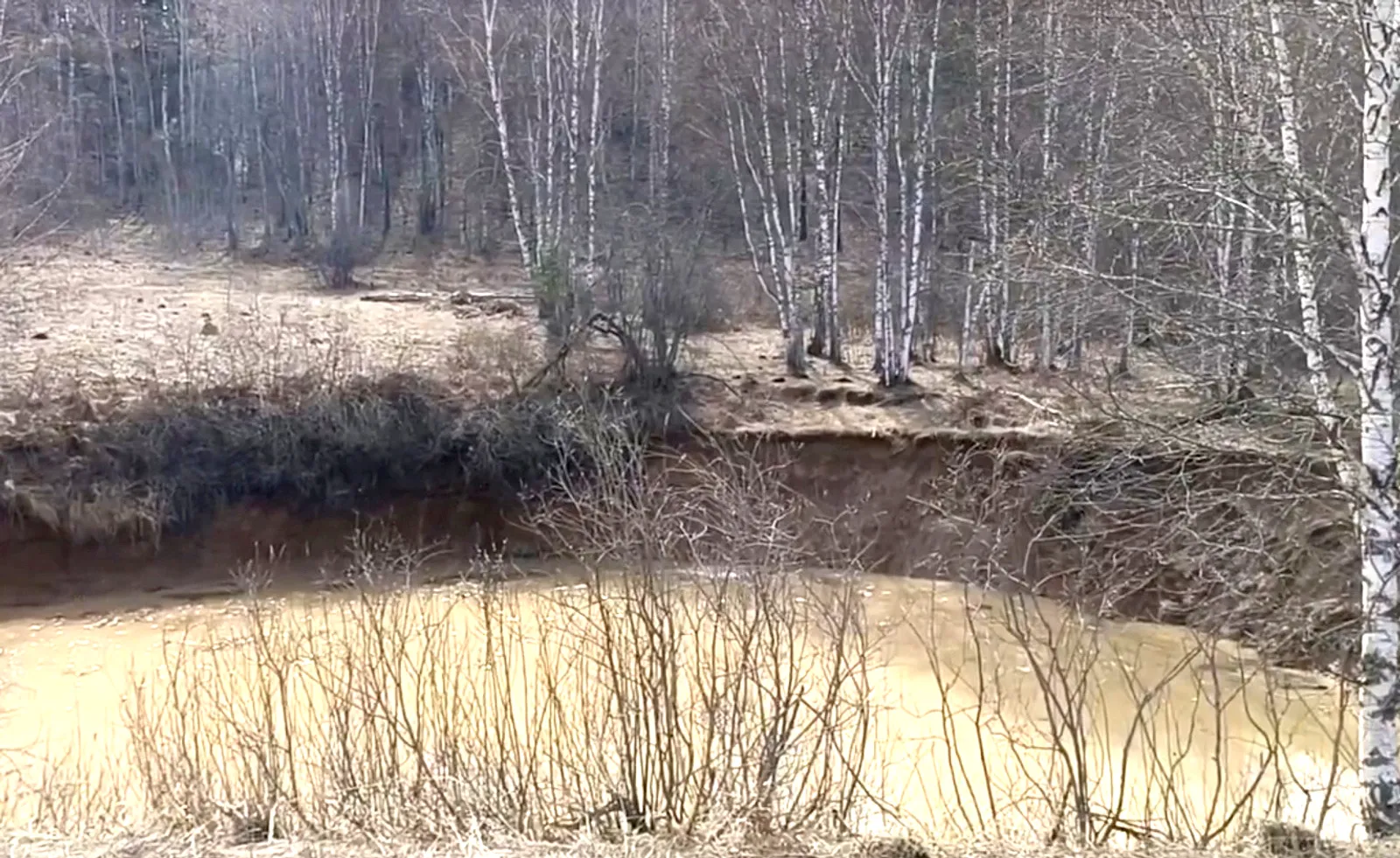 Ығышма үҙ асылына ҡайтырмы?