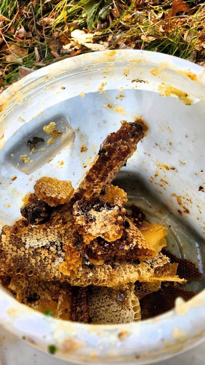 Солоҡтарҙа көҙгө ревизиялар