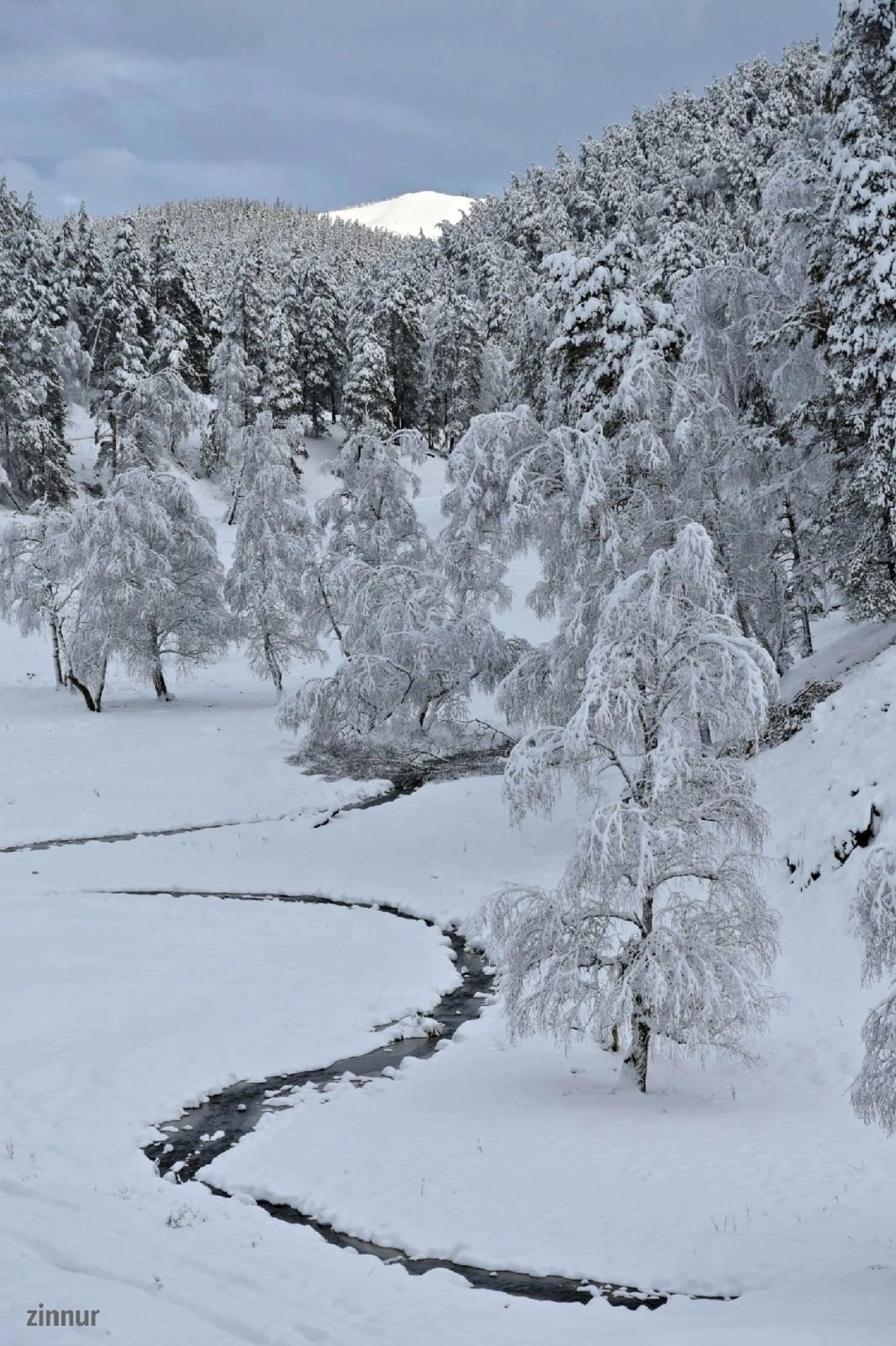 Декабрь айына һынамыштар