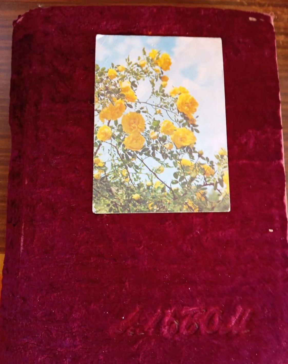 Архив альбомда нимәләр һаҡлана?