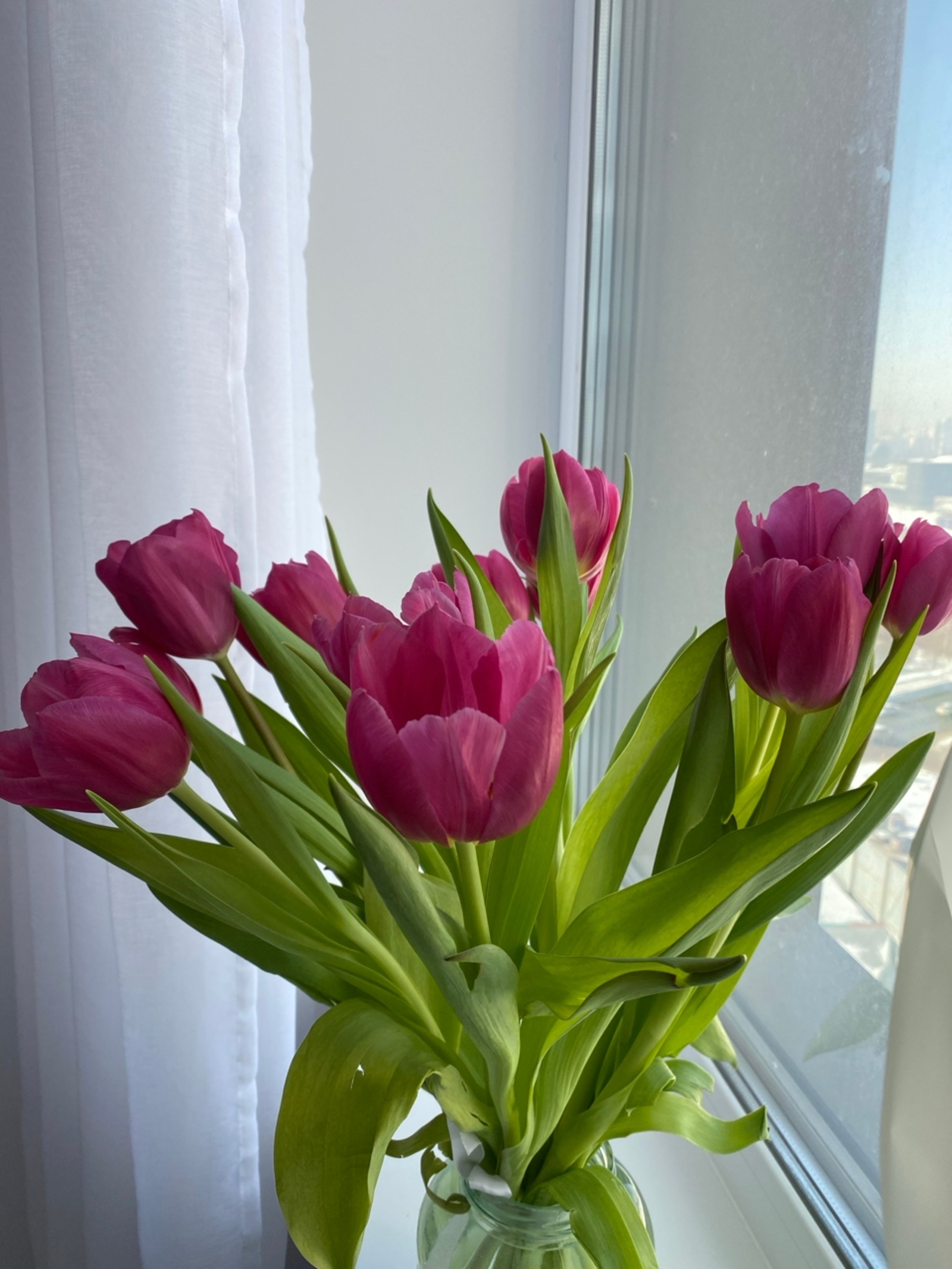 Ял көндәренә һауа торошо нисек була?