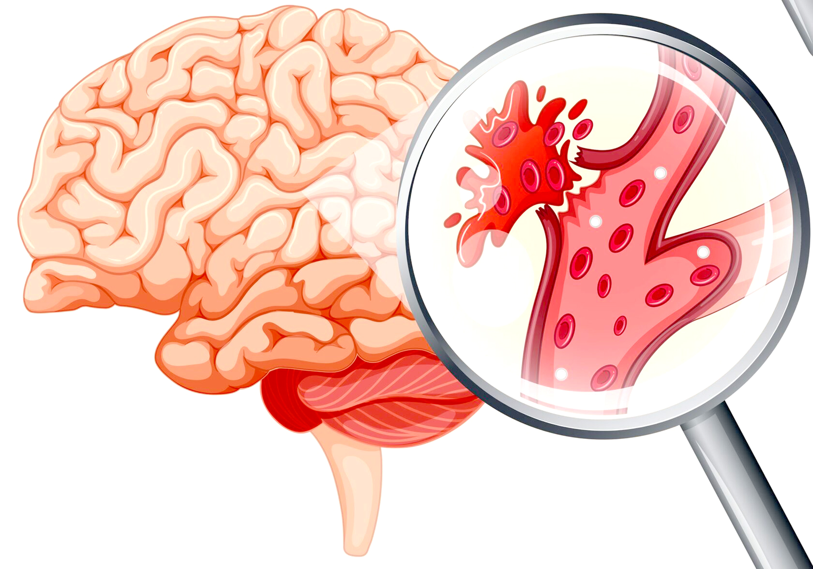 Тиҙ ярҙам күрһәтеп өлгөрөү мөһим