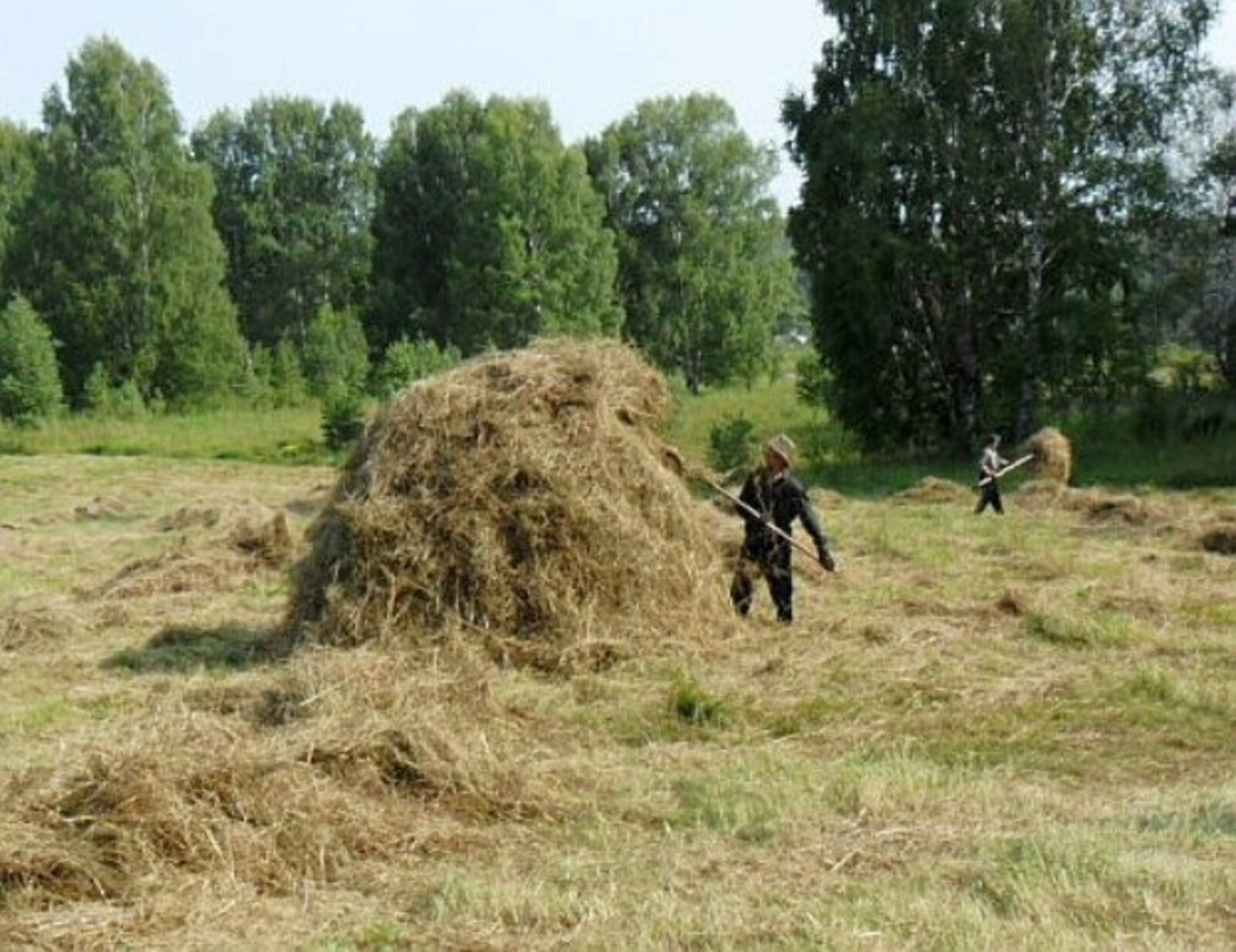 Атайҙың ашарға ҡайтырға оялып йәшенеп ултырғаны...