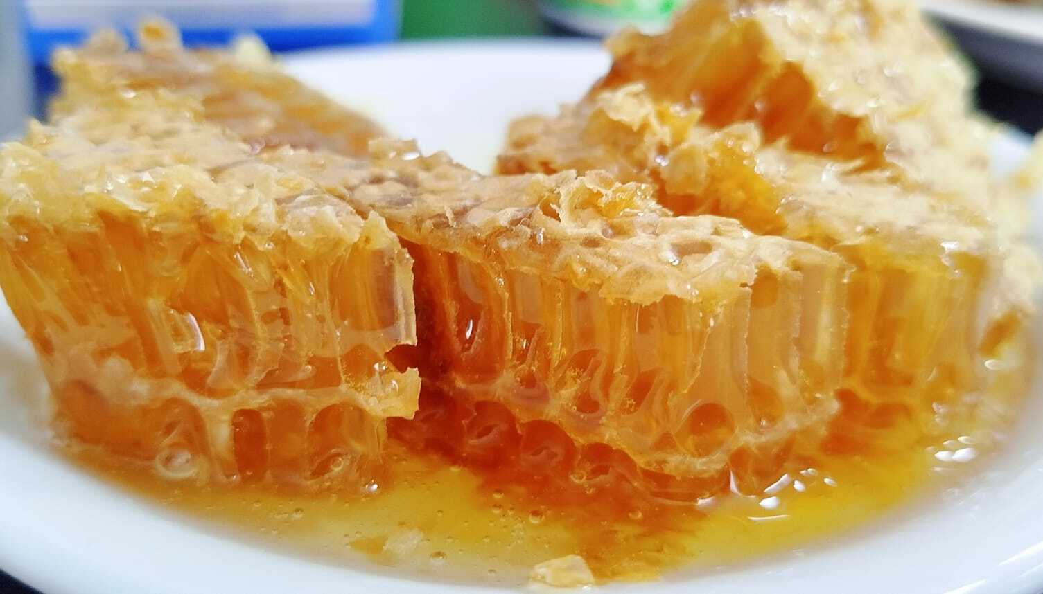 Тоҡомдары менән ҡортсолар