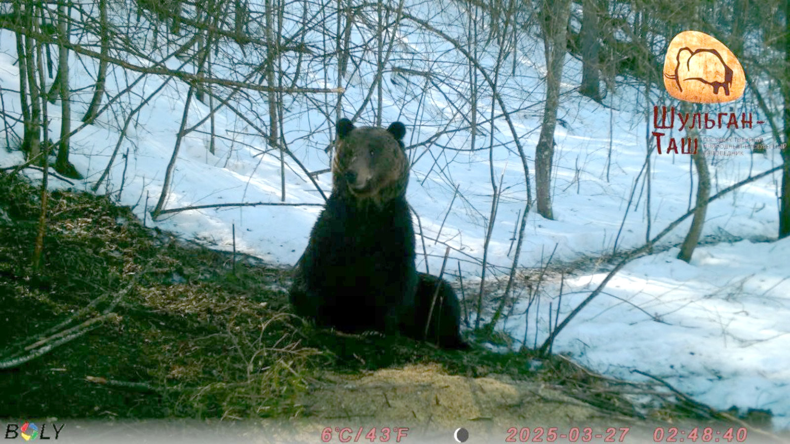 Айыухан, йоҡлай бирһәң ней була инде...