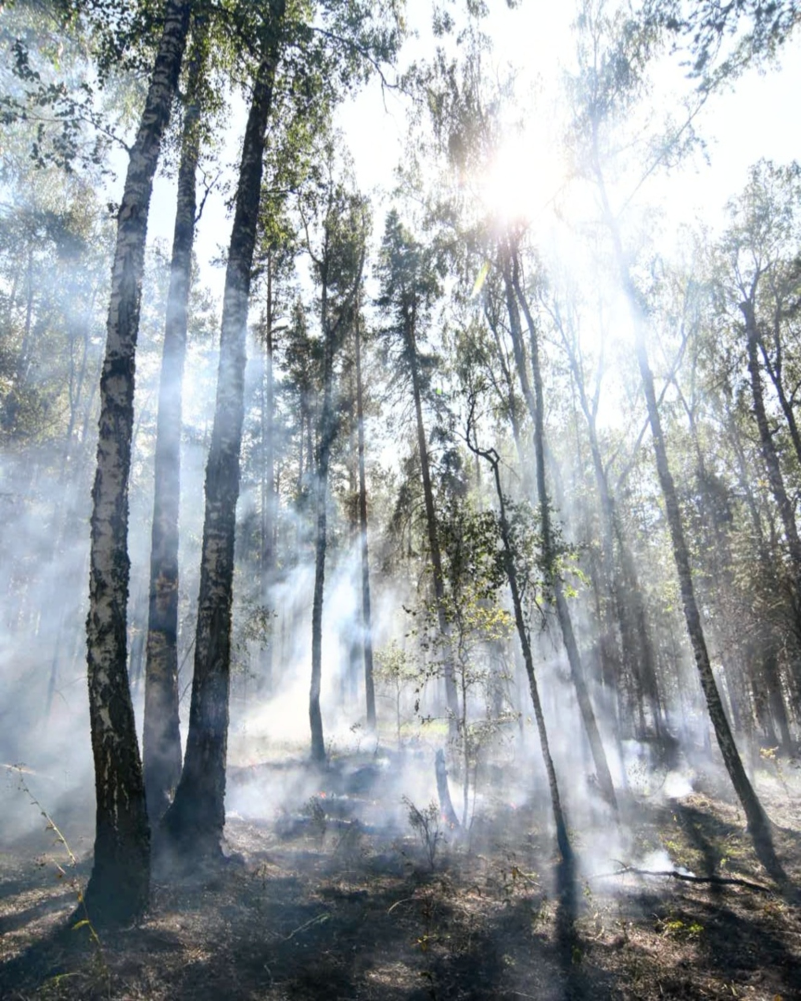 На территории ФГБУ «Южно-Уральский государственный природный заповедник» №1 в Белорецком районе произошел лесной пожар.